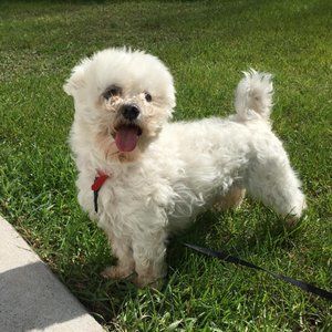 Meet your Posher, April